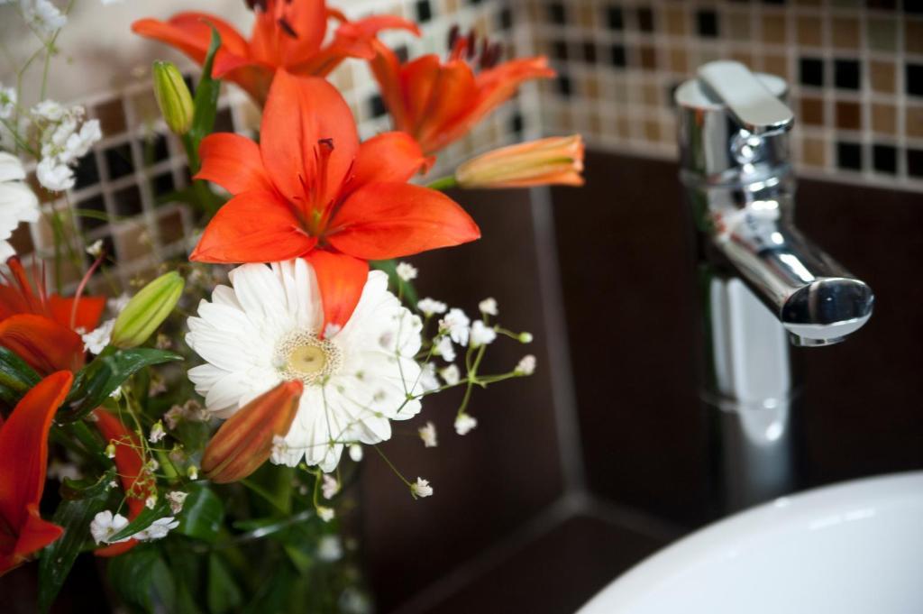 פלאייה דל כרמן Casa Felicidad B&B Room & Kitchen חדר תמונה