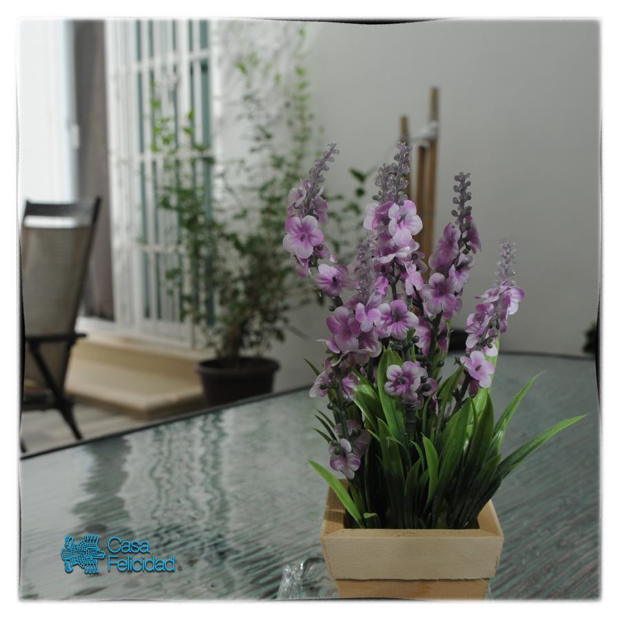 פלאייה דל כרמן Casa Felicidad B&B Room & Kitchen מראה חיצוני תמונה